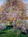 Nogales y manzanos en flor en el paisaje de Eragny Camille Pissarro